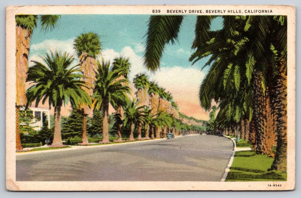1934 Beverly Hills CA Postcard 839 Beverly Drive Palm Trees Linen Posted